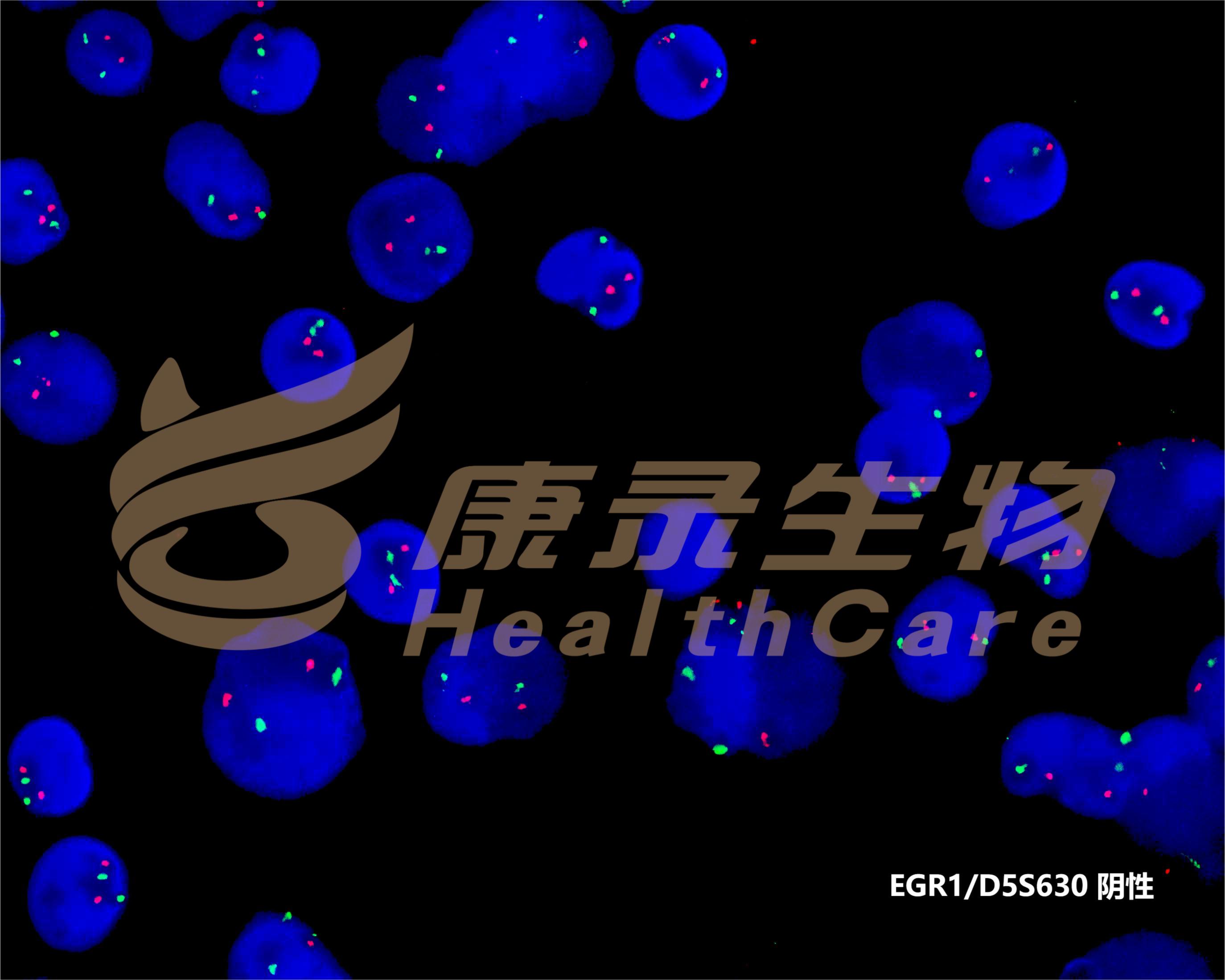 中国·拉斯维加斯(3499·官方认证)网站-Officialwebsite